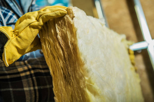 Best DIY Insulation Kits and Guidance in Vassar, MI