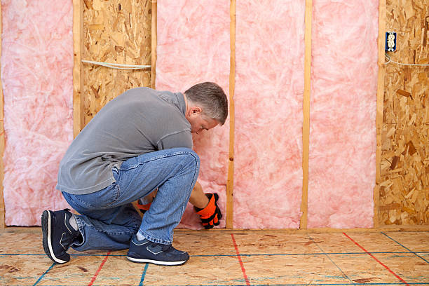 Best Cellulose Insulation in Vassar, MI